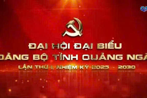 Đại hội đại biểu Đảng bộ tỉnh Quảng Ngãi lần thứ I, nhiệm kỳ 2025 - 2030